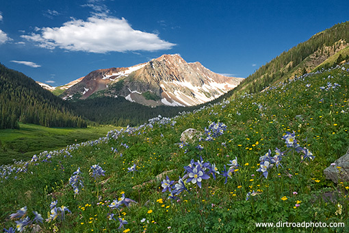 Rolling Mountain and columbines